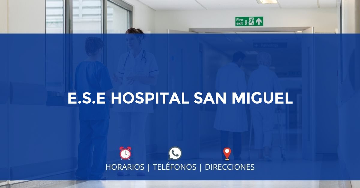 E.S.E HOSPITAL SAN MIGUEL — IPS en OLAYA, Antioquia