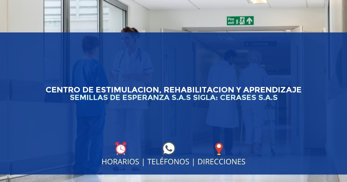 CENTRO DE ESTIMULACION, REHABILITACION Y APRENDIZAJE SEMILLAS DE ESPERANZA S.A.S SIGLA: CERASES S.A.S — IPS en BOGOTÁ, Bogotá D.C.