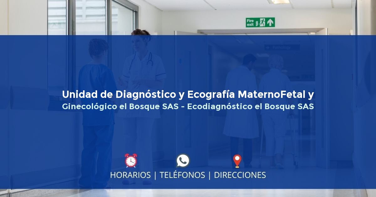 Unidad de Diagnóstico y Ecografía MaternoFetal y Ginecológico el Bosque SAS - Ecodiagnóstico el Bosque SAS — IPS en BOGOTÁ, Bogotá D.C.