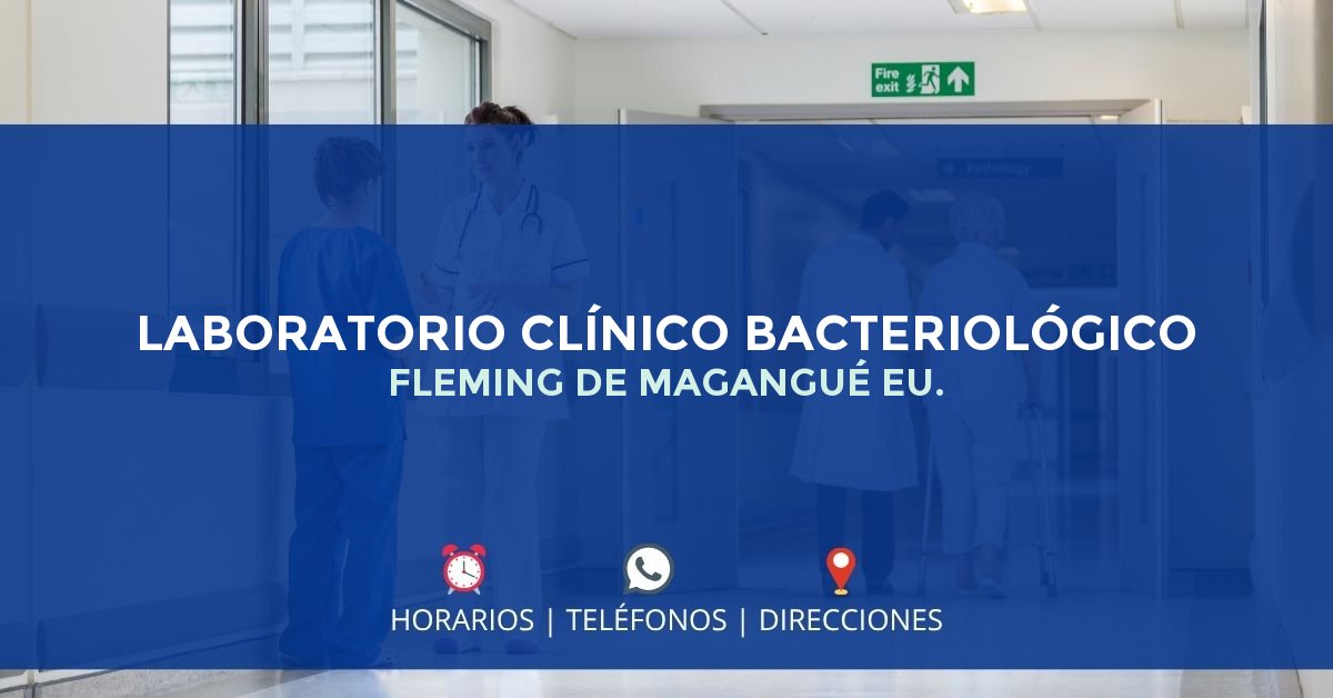 LABORATORIO CLÍNICO BACTERIOLÓGICO FLEMING DE MAGANGUÉ EU. — IPS en MAGANGUÉ, Bolívar