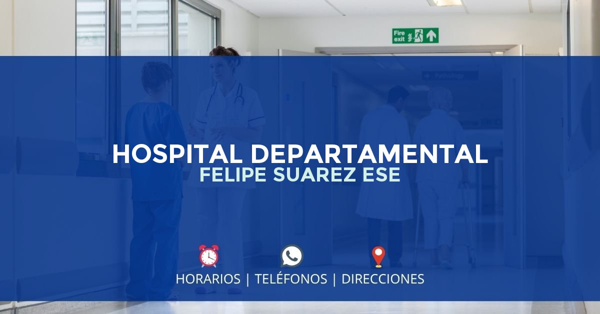 HOSPITAL DEPARTAMENTAL FELIPE SUAREZ ESE — IPS en SALAMINA, Caldas