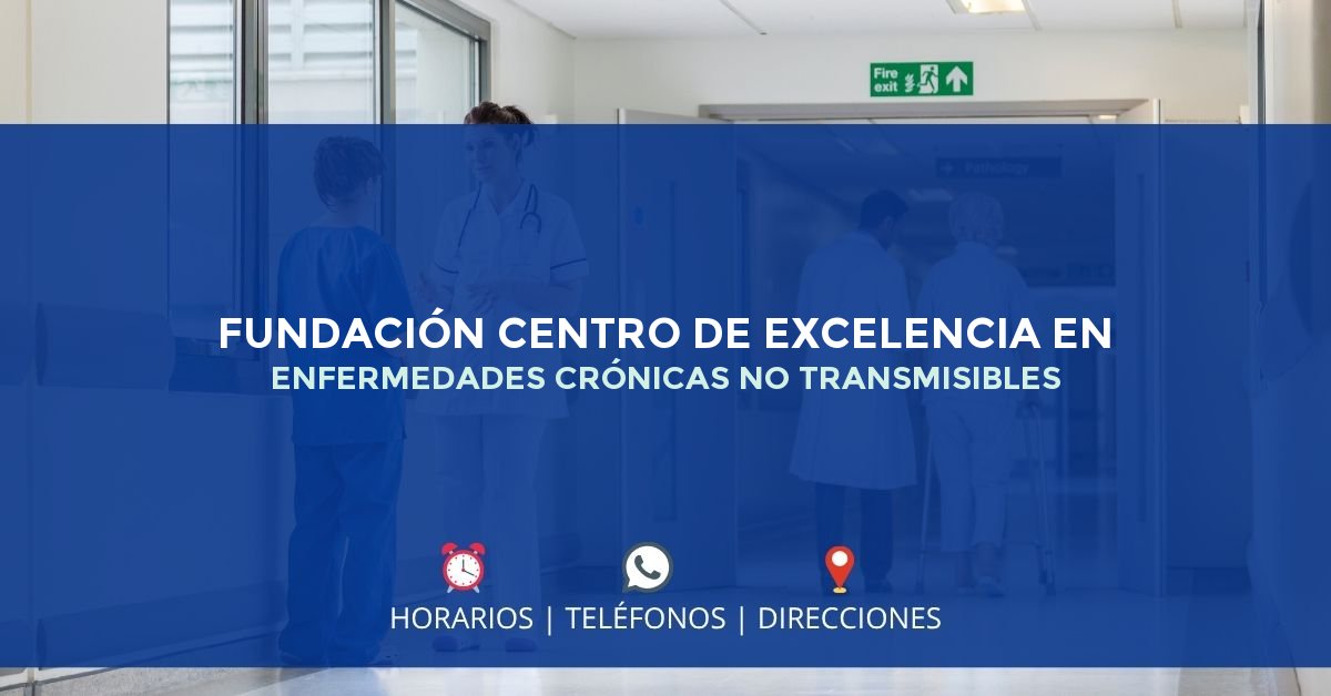 FUNDACIÓN CENTRO DE EXCELENCIA EN ENFERMEDADES CRÓNICAS NO TRANSMISIBLES — IPS en MONTERÍA, Córdoba