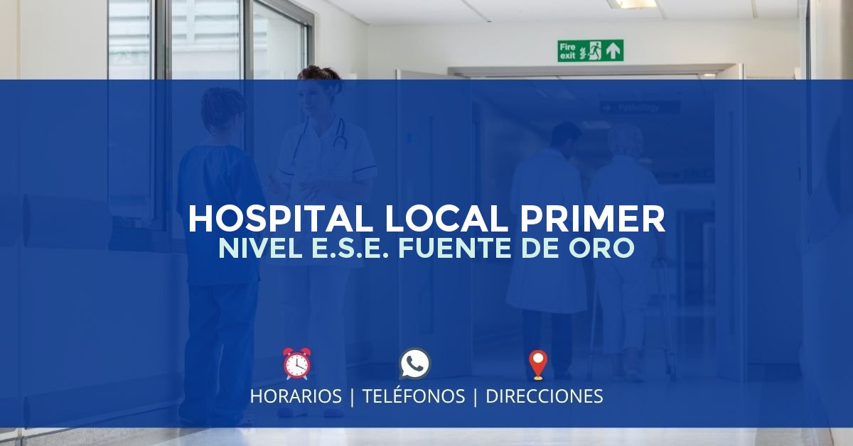 HOSPITAL LOCAL PRIMER NIVEL E.S.E. FUENTE DE ORO — IPS en FUENTE DE ORO, Meta