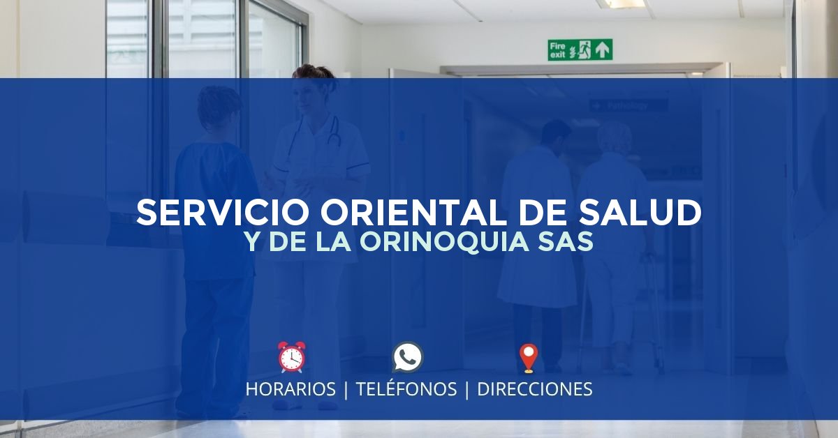 SERVICIO ORIENTAL DE SALUD Y DE LA ORINOQUIA SAS — IPS en PUERTO GAITÁN, Meta