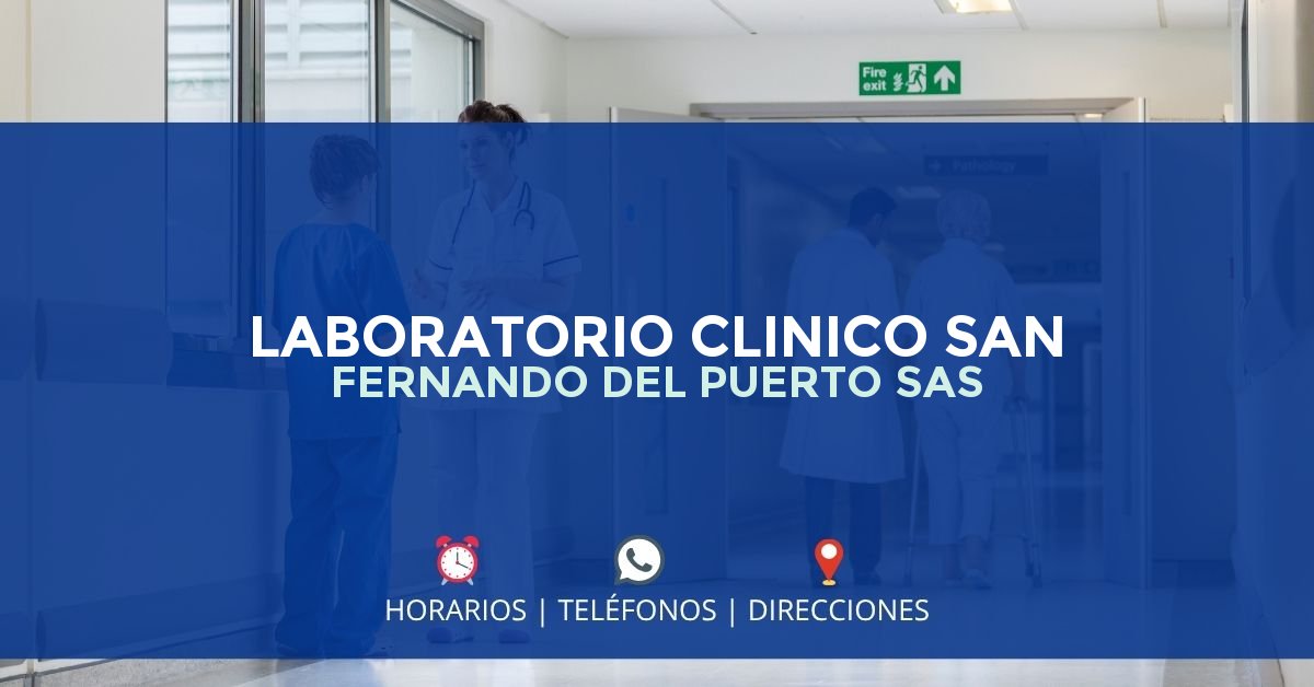LABORATORIO CLINICO SAN FERNANDO DEL PUERTO SAS — IPS en PUERTO LÓPEZ, Meta
