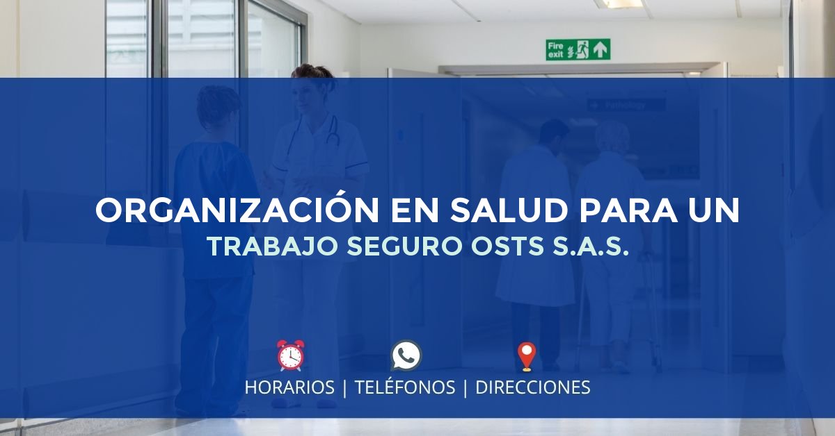 ORGANIZACIÓN EN SALUD PARA UN TRABAJO SEGURO OSTS S.A.S. — IPS en BUCARAMANGA, Santander