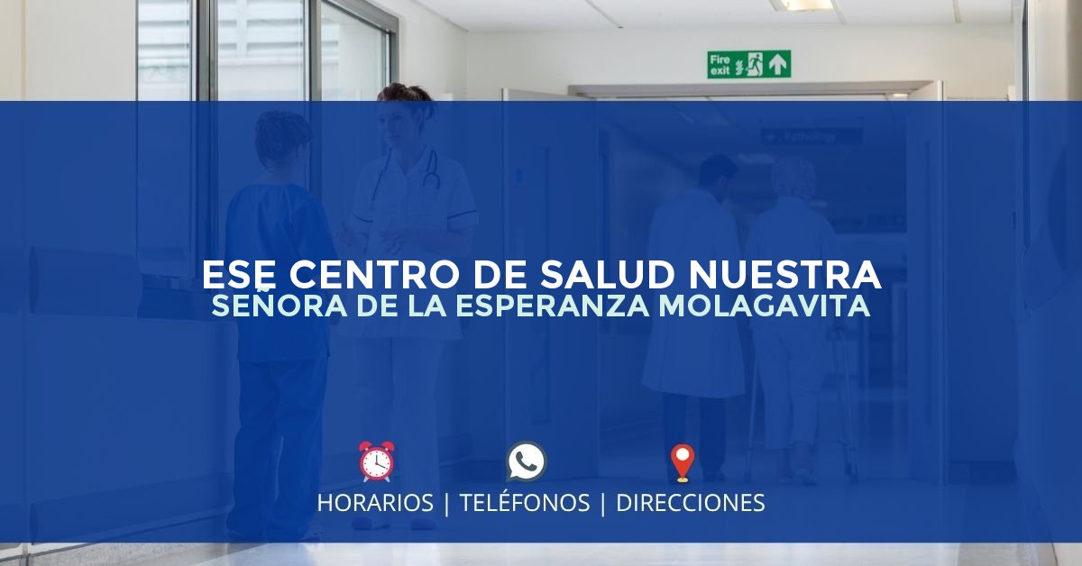 ESE CENTRO DE SALUD NUESTRA SEÑORA DE LA ESPERANZA MOLAGAVITA — IPS en MOLAGAVITA, Santander